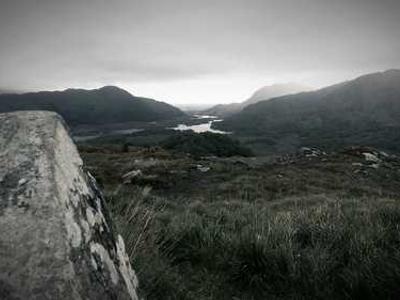 GigaTIME: Scaling tumor microenvironment modeling using virtual population generated by multimodal AI