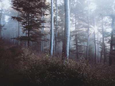 A Love Letter to My Hometown: On Revisiting Rural New Hampshire in Fiction