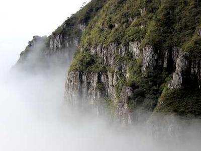 OpenAI launches a Codex app for macOS, designed to serve as a command center for managing AI agents, and says Codex usage has nearly doubled since mid-December (David Gewirtz/ZDNET)