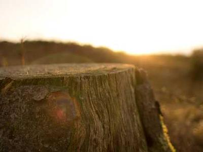 OpenText is selling its analytics business Vertica to Rocket Software for $150M to reduce its outstanding debt, its second business unit sale within five months (Alex Riehl/BetaKit)