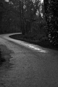 Emily Johnson