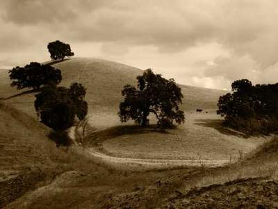 Reducing Privacy leaks in AI: Two approaches to contextual integrity 