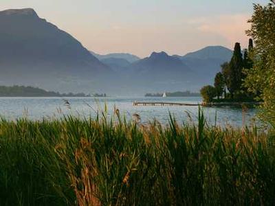 AMD hints Microsoft could launch its next-gen Xbox in 2027