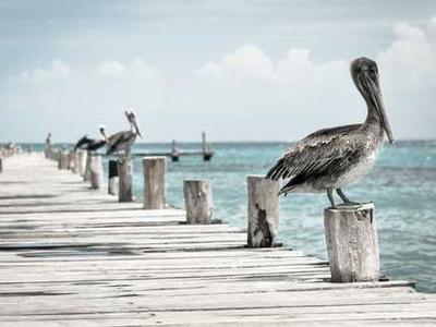 Fara-7B: An Efficient Agentic Model for Computer Use