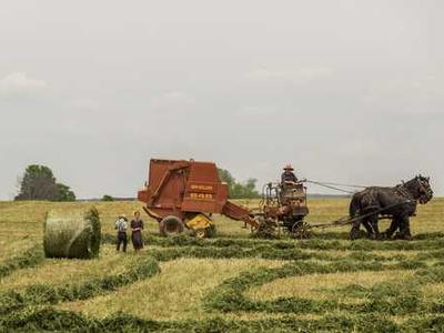 Iranian Hackers Breached Kash Patel’s Email—but Not the FBI’s